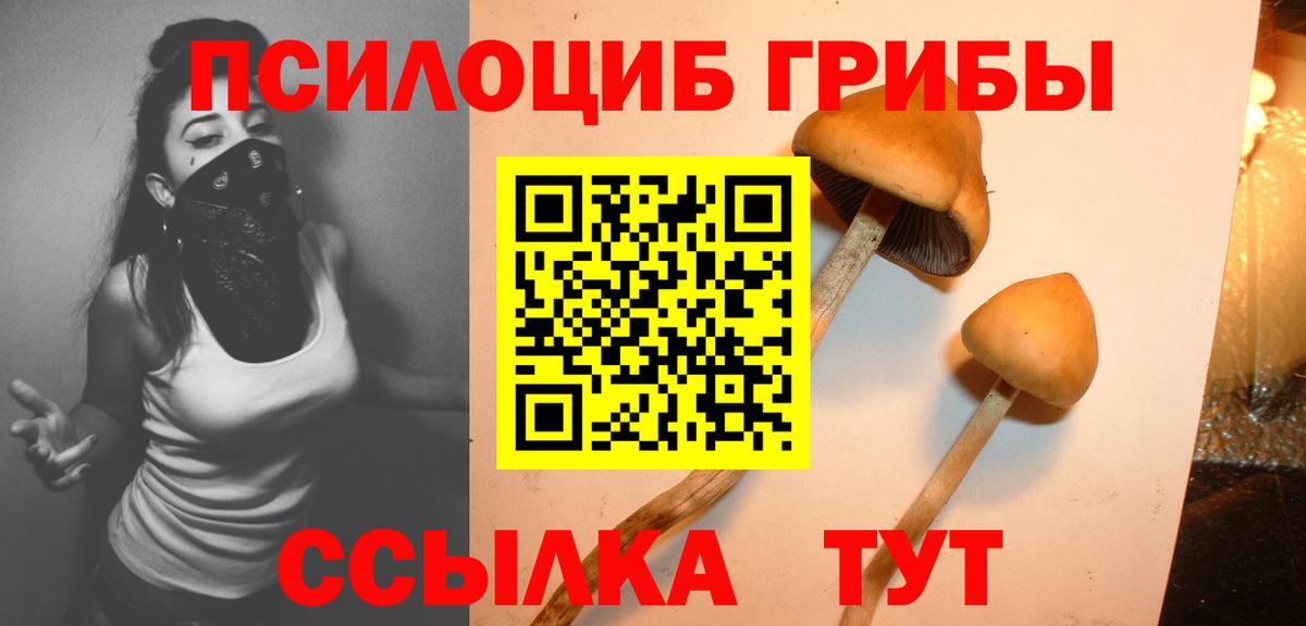 Псилоцибиновые грибы GOLDEN TEACHER Калуга